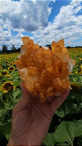 Drusa de Quartzo Tangerina