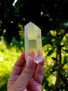 Mestre Semente Estelar Gravado