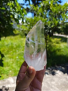 Mestre Lemuriano com Faces Marcadas