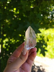 Mestre Ísis, Semente Estelar e Elo do Tempo Futuro