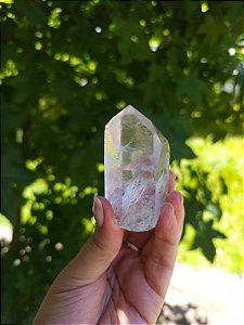 Mestre Transmissor e Semente Estelar