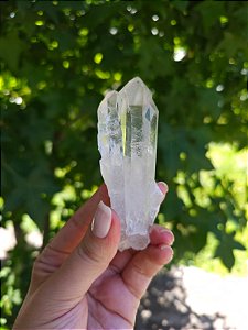 Mestre Semente Estelar e Elo do Tempo Futuro