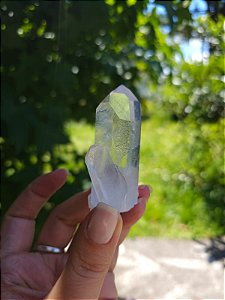 Mestre Canalizador e Semente Estelar