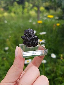 Pedra da Profecia - Egito