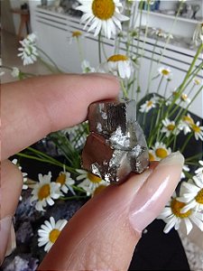 Pirita Peruana