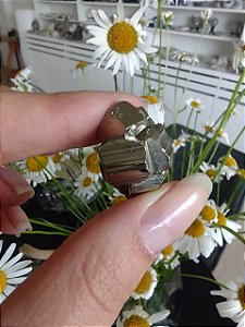 Pirita Peruana