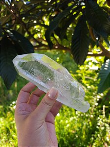 Dragão Cristal Lemuria e Atlântida