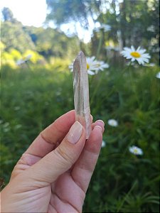 Ponta Rosa com Imprint