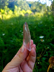 Mestre Lemuriano Rosa