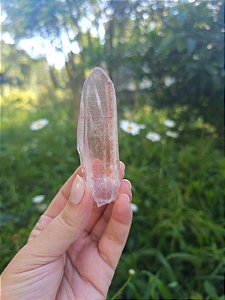 Mestre Lemuriano Rosa