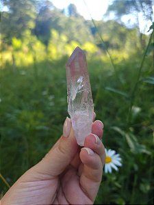 Mestre Lemuriano Rosa