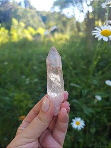 Mestre Lemuriano  Rosa