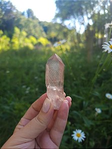 Mestre Lemuriano  Rosa