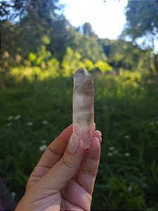 Mestre Lemuriano com Imprint  Rosa