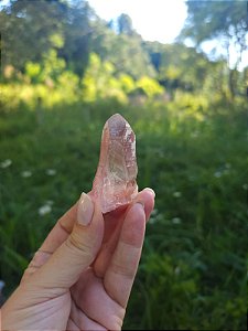 Mestre Lemuriano Rosa