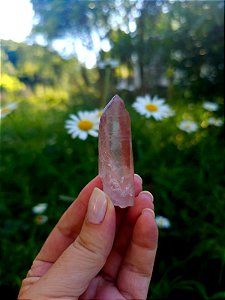 Mestre Lemuriano  Rosa