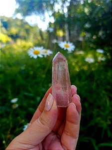 Mestre Lemuriano  Rosa