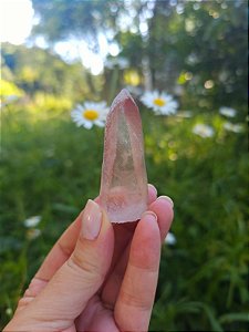 Mestre Lemuriano  Rosa