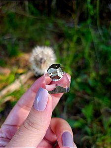 Pirita Dodecaédrica