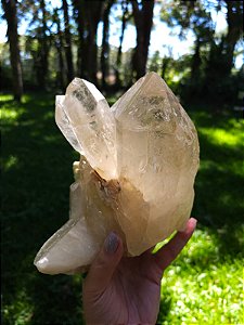 Drusa de Citrino Arquivista