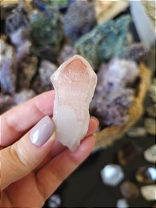 Ponta Pink Sugar