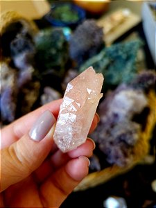 Formação Pink Autocurada