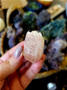 Formação Pink  Autocurada