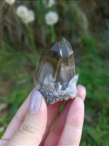 Anfibólio com Elo do Tempo Passado