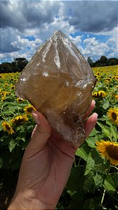 Citrino Elestial em Formação Natural