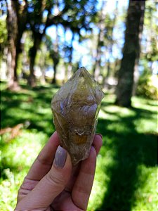 Citrino Elestial em Formação Natural