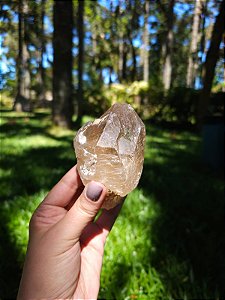 Citrino Elestial Arquivista em Formação Natural