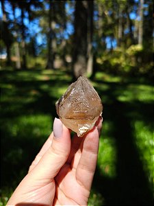 Citrino Elestial em Formação Natural