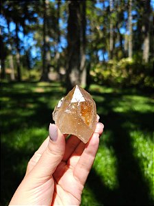 Citrino Elestial Trigônico e Arquivista em Formação Natural
