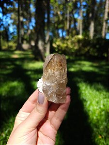 Citrino Elestial em Formação Natural