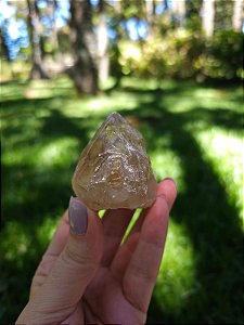 Citrino Elestial com Mica em Formação Natural