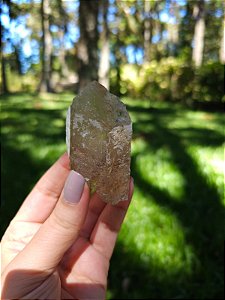 Citrino Elestial em Formação Natural