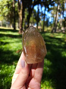 Citrino Elestial com Arco- íris  em Formação Natural