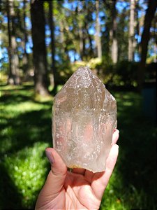 Citrino Elestial em Formação Natural