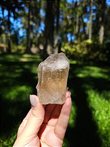 Citrino Elestial em Formação Natural