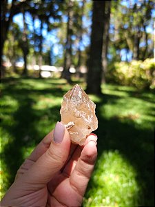 Citrino Elestial  em Formação Natural