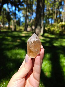 Citrino Elestial  em Formação Natural