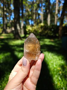 Citrino Elestial  em Formação Natural