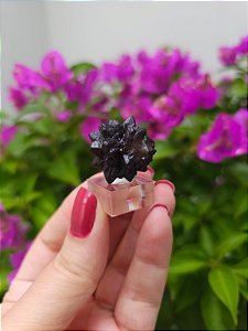 Pedra da Profecia - Egito