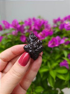 Pedra da Profecia - Egito