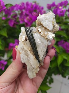 Mica Estrela com Turmalina Verde