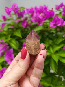 Casaco dos Sonhos - Dream Coat