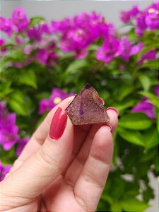 Casaco dos Sonhos - Dream Coat