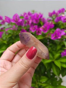 Casaco dos Sonhos - Dream Coat Biterminado