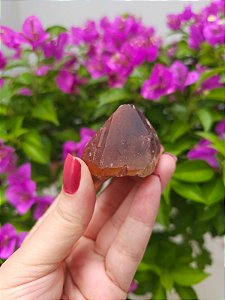 Casaco dos Sonhos - Dream Coat Trigônico