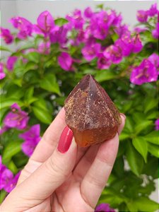 Casaco dos Sonhos - Dream Coat Trigônico